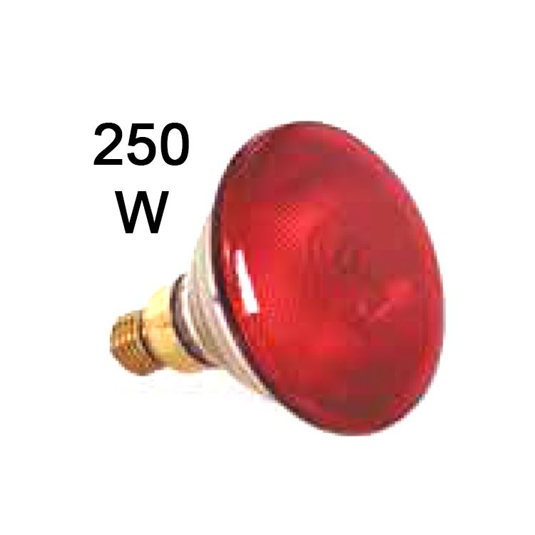 BOMBILLA ROJA DE 250 W MANTENEDORA DE CALOR